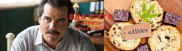 хмурый Алзамай