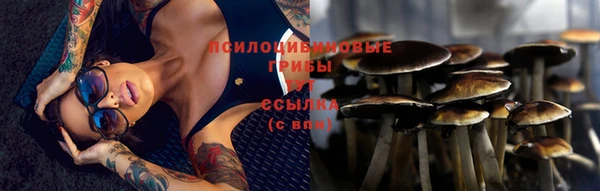 spice Алексеевка