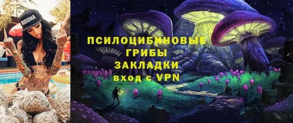 spice Алексеевка