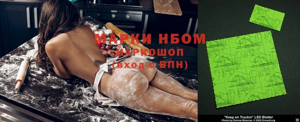 хмурый Алзамай