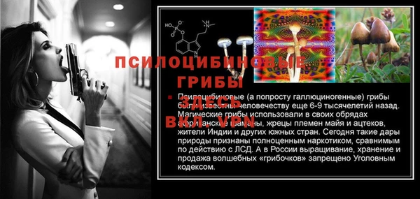хмурый Алзамай