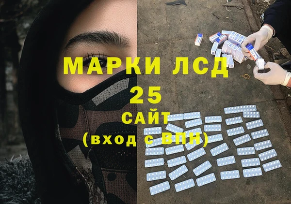 хмурый Алзамай