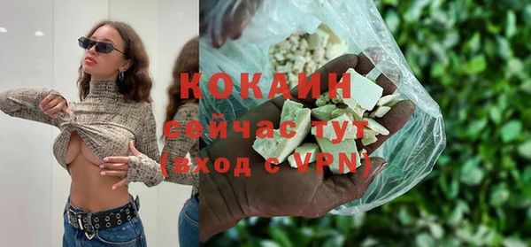 тгк Алексин